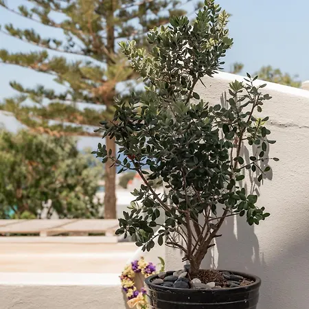 Rania Sea View 3* Mykonos Town